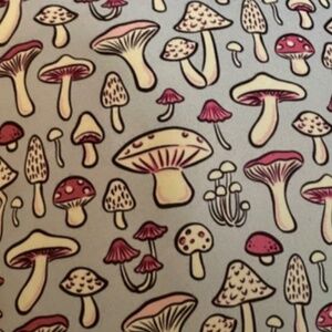 Throw pillow mushroom size 14in by 14.5 in